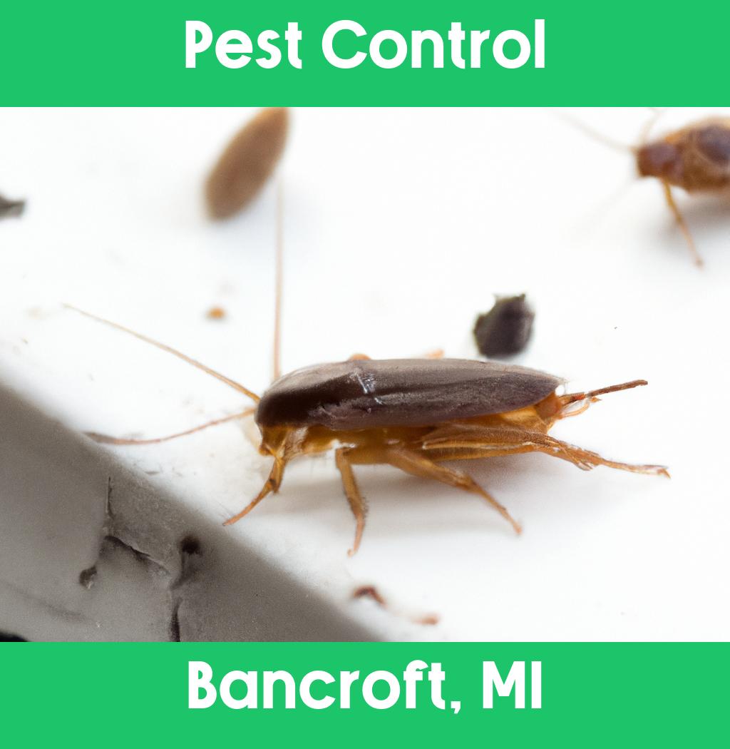 pest control in Bancroft Michigan