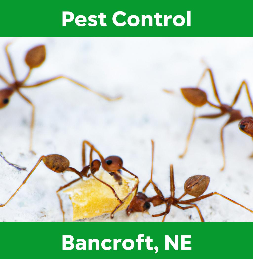 pest control in Bancroft Nebraska