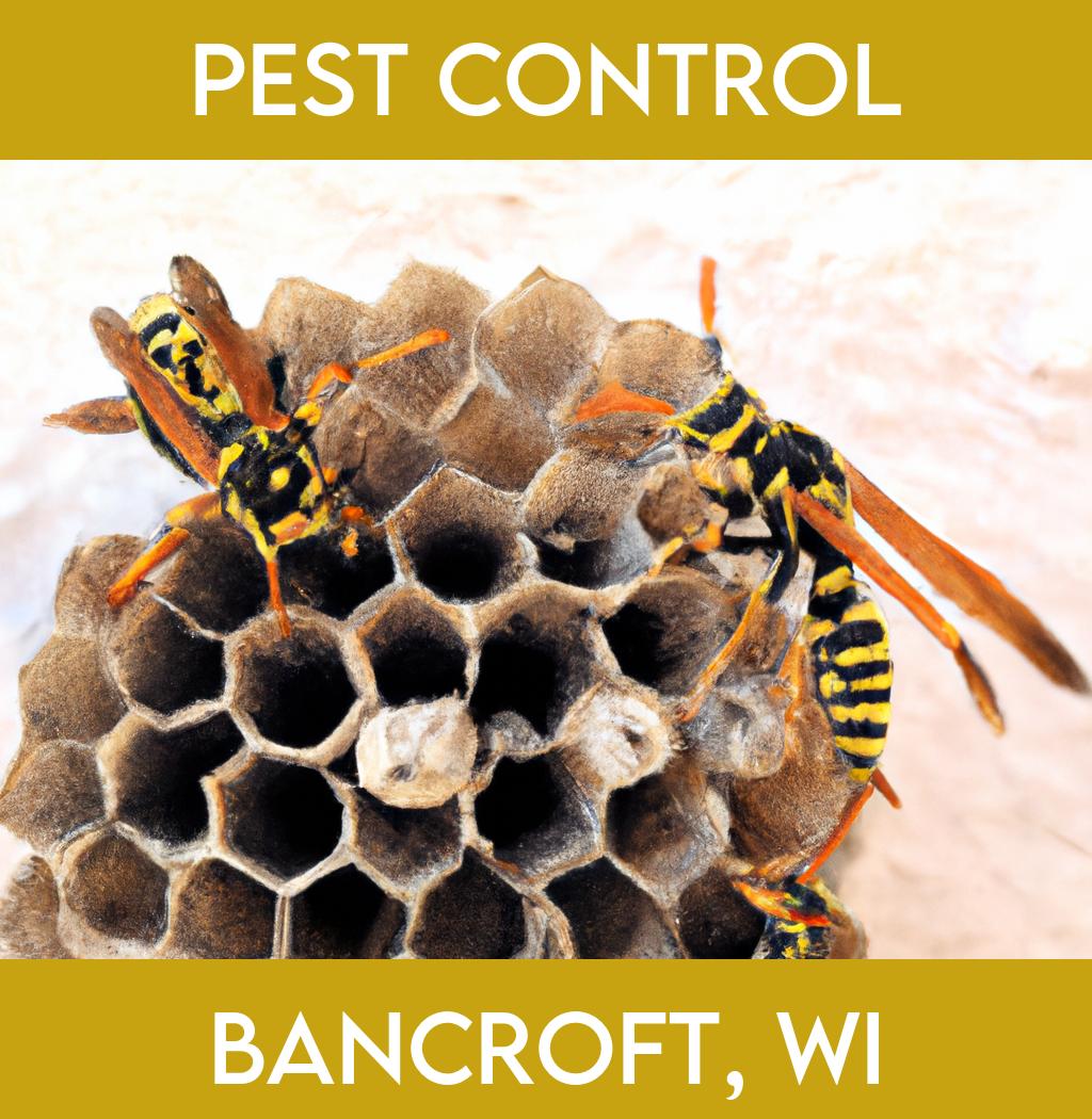 pest control in Bancroft Wisconsin