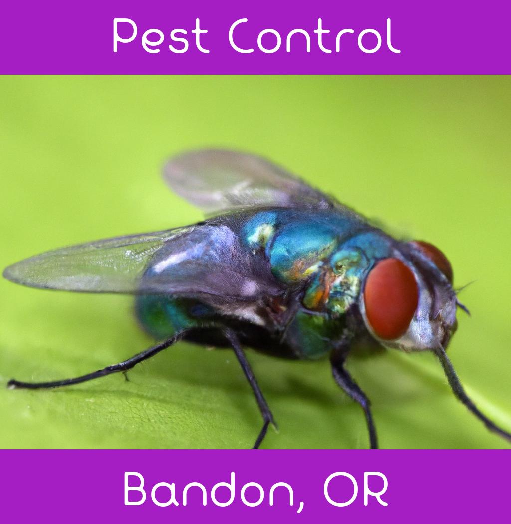 pest control in Bandon Oregon