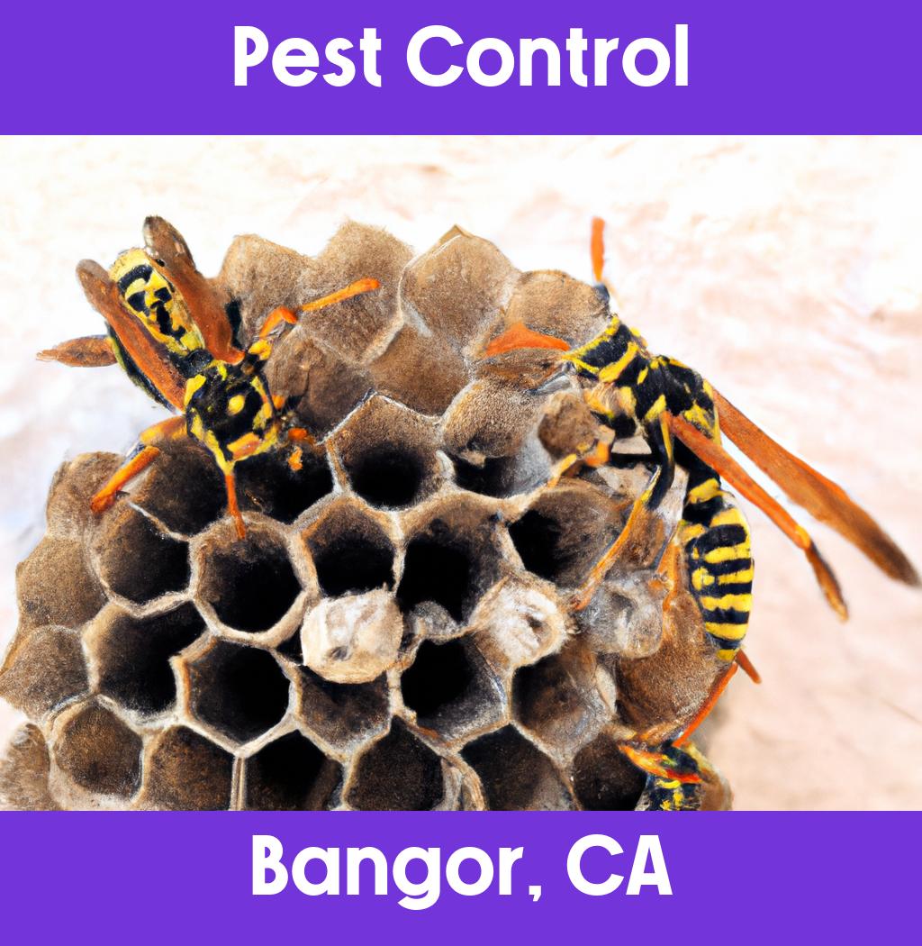 pest control in Bangor California