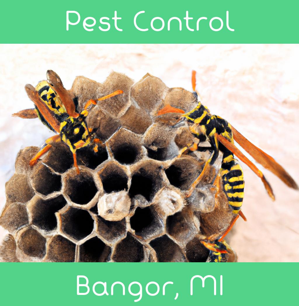 pest control in Bangor Michigan