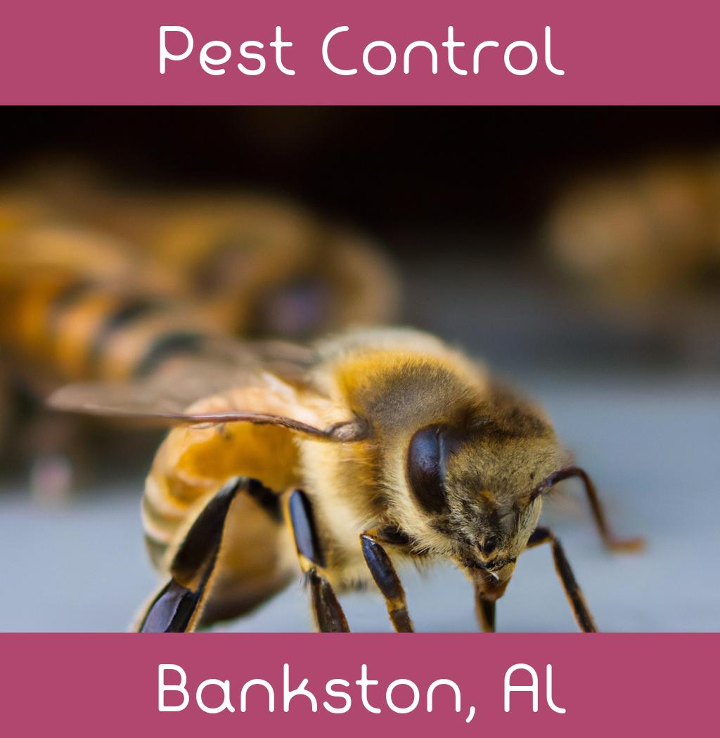 pest control in Bankston Alabama