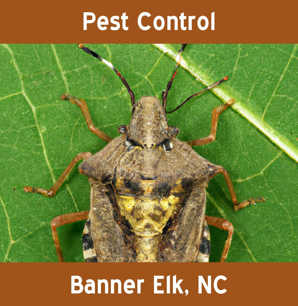 pest control in Banner Elk North Carolina