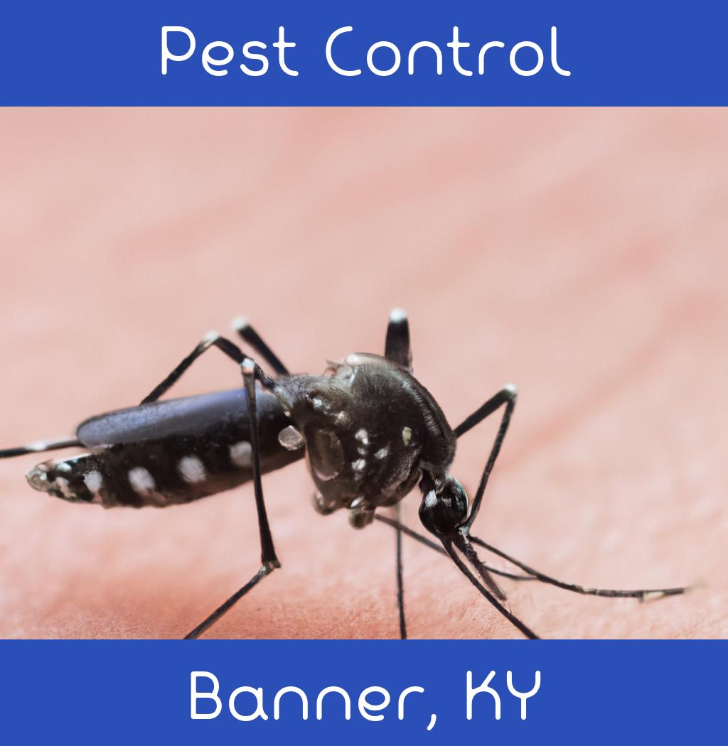 pest control in Banner Kentucky