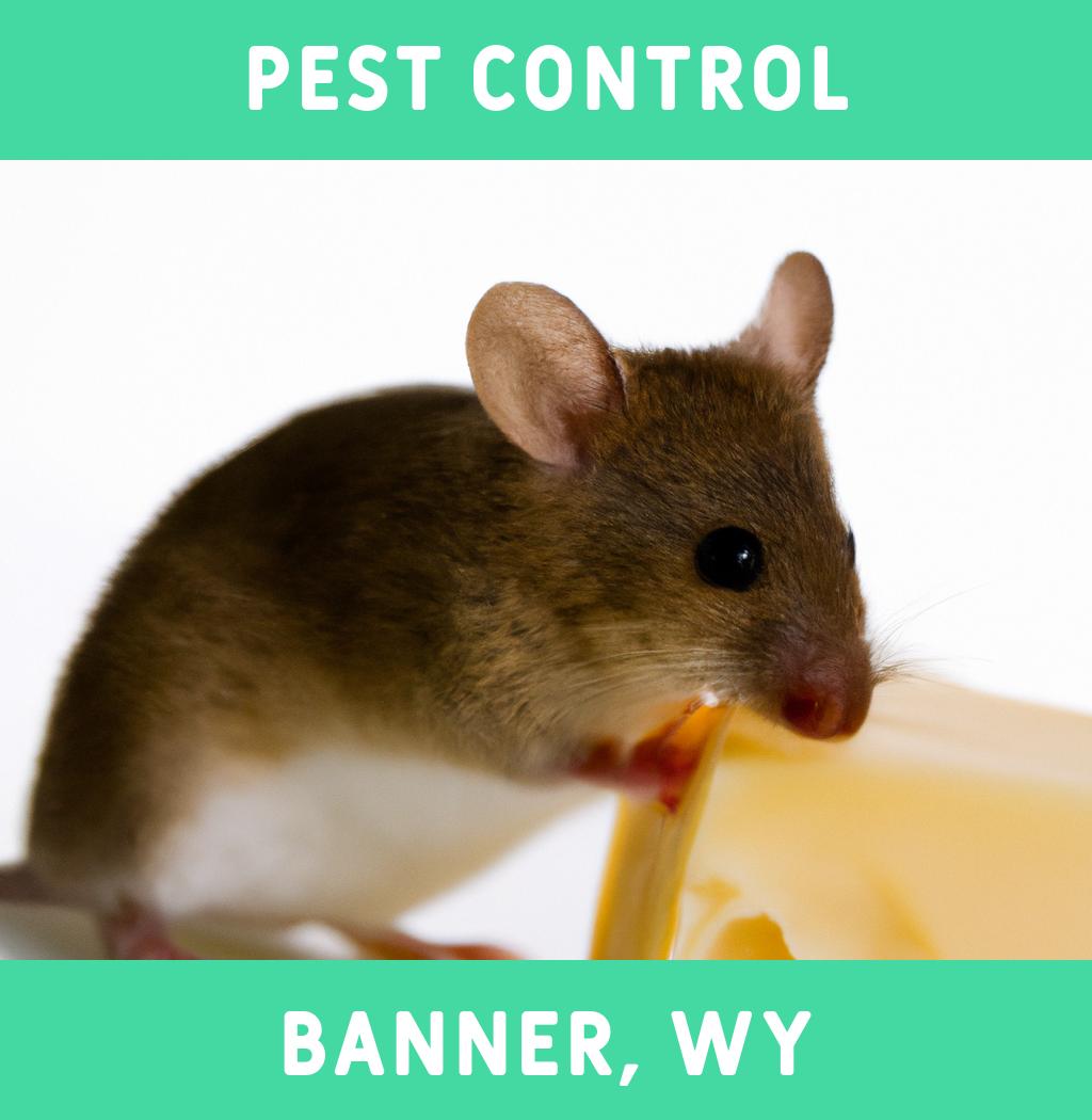 pest control in Banner Wyoming