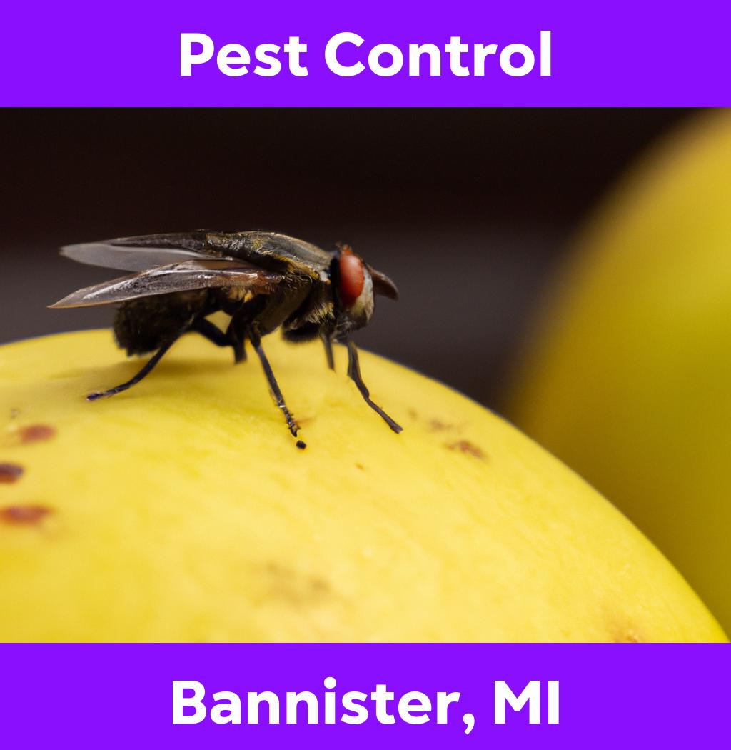 pest control in Bannister Michigan