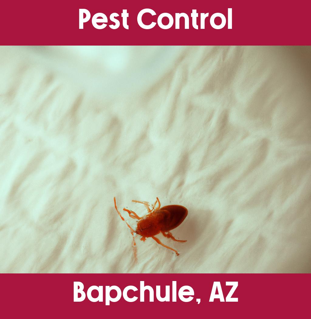 pest control in Bapchule Arizona