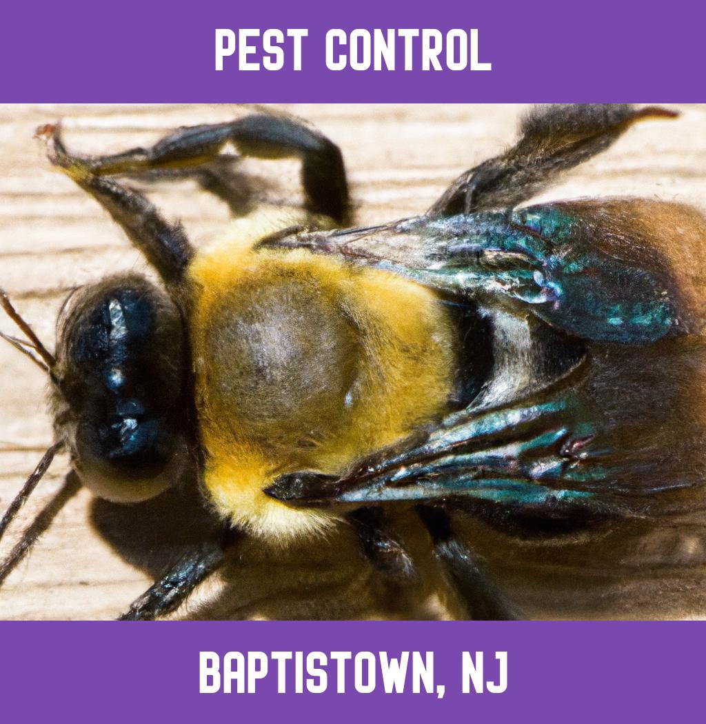 pest control in Baptistown New Jersey