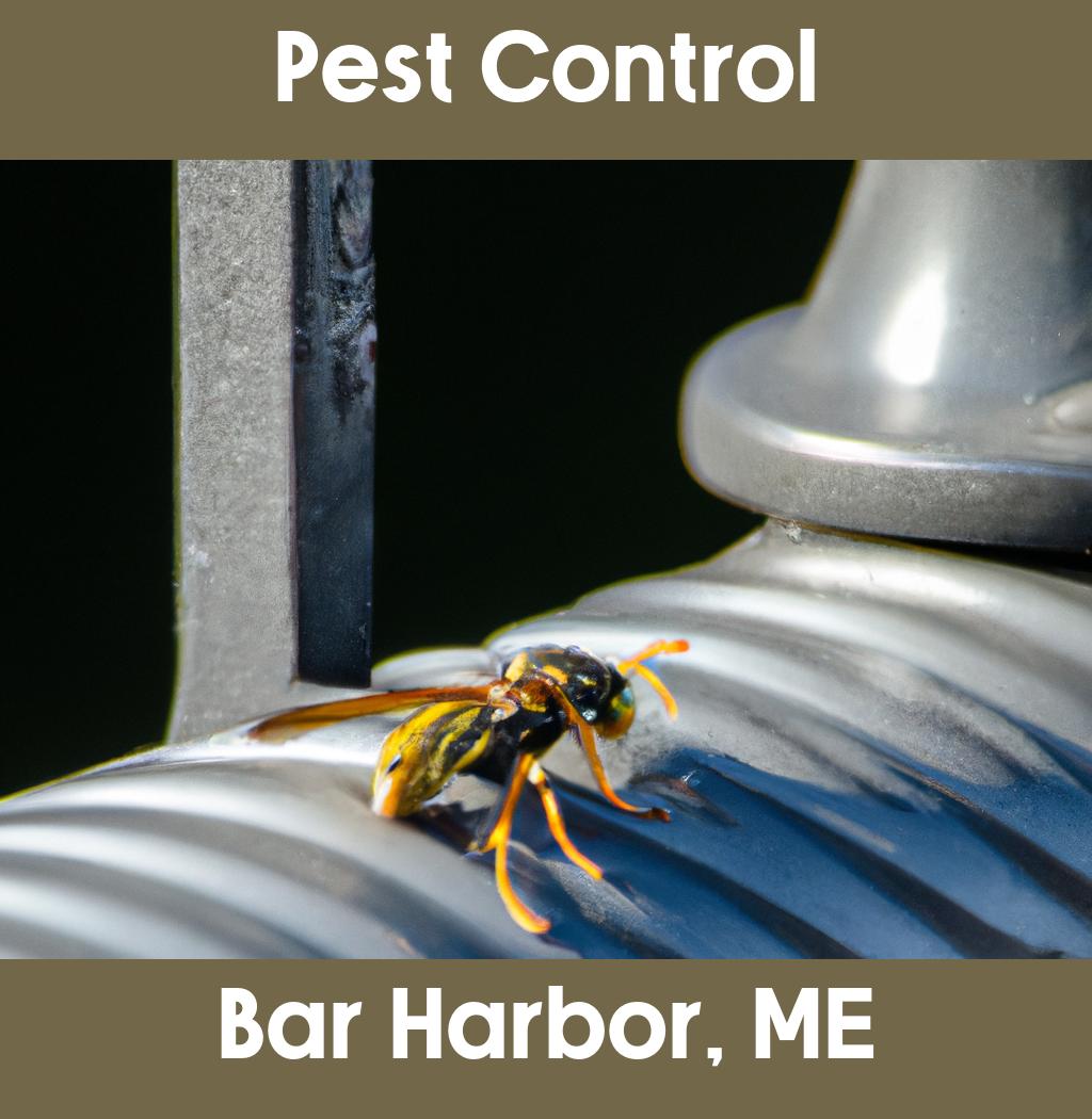 pest control in Bar Harbor Maine