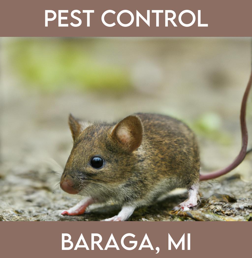 pest control in Baraga Michigan