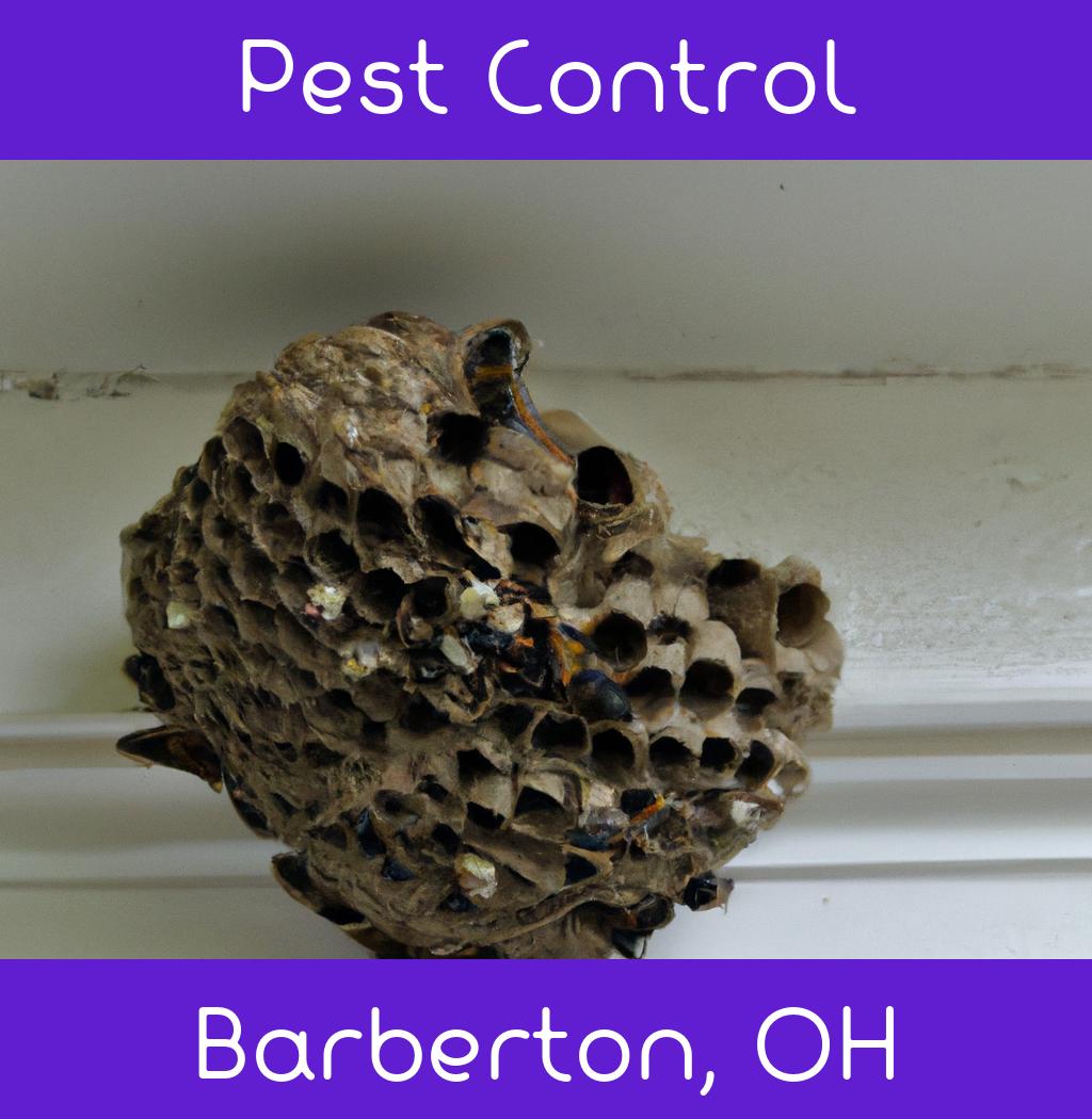 pest control in Barberton Ohio