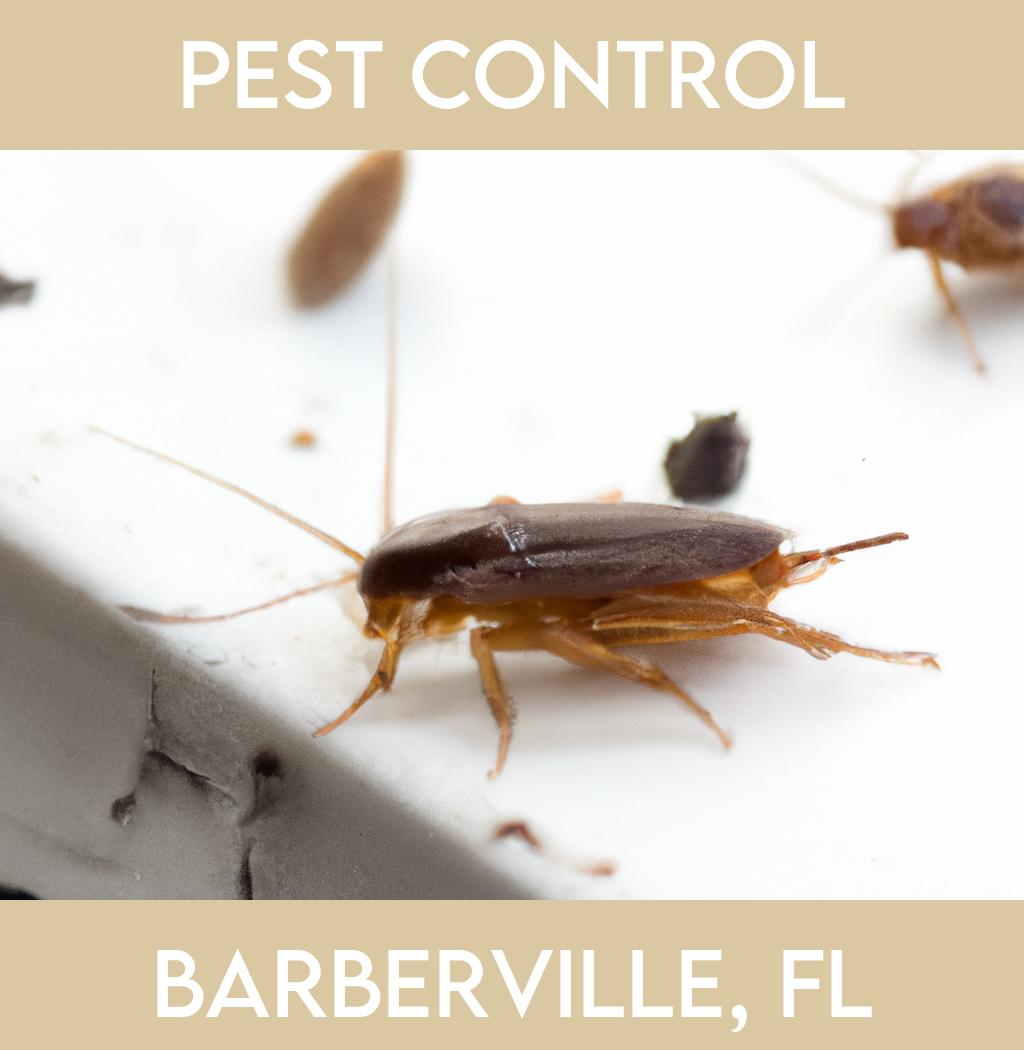 pest control in Barberville Florida
