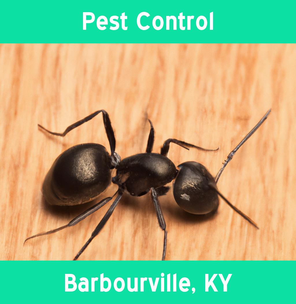pest control in Barbourville Kentucky
