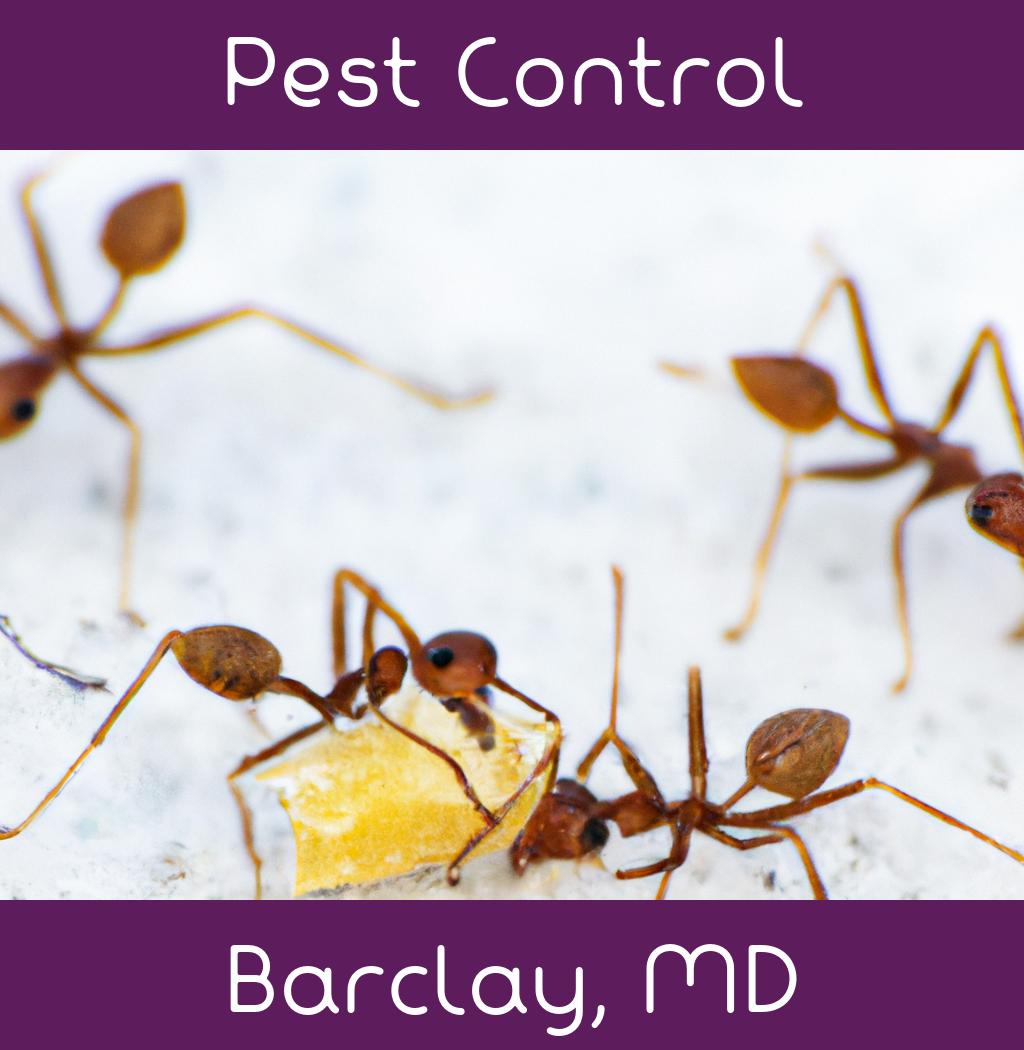 pest control in Barclay Maryland