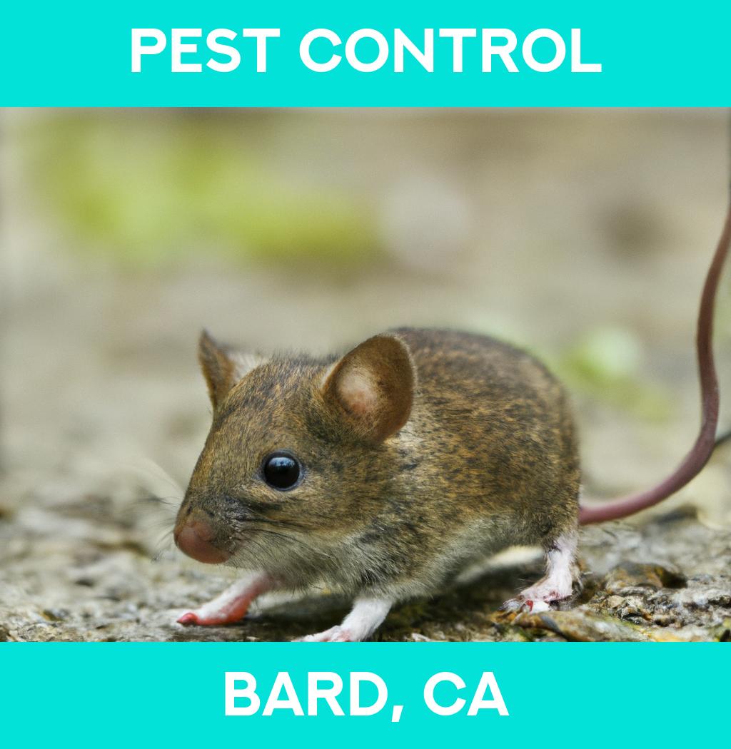 pest control in Bard California
