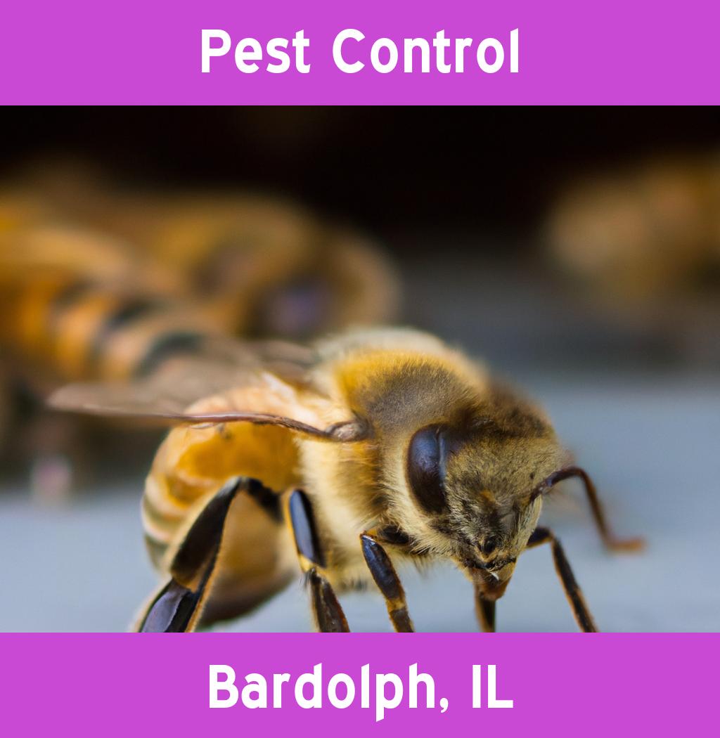 pest control in Bardolph Illinois