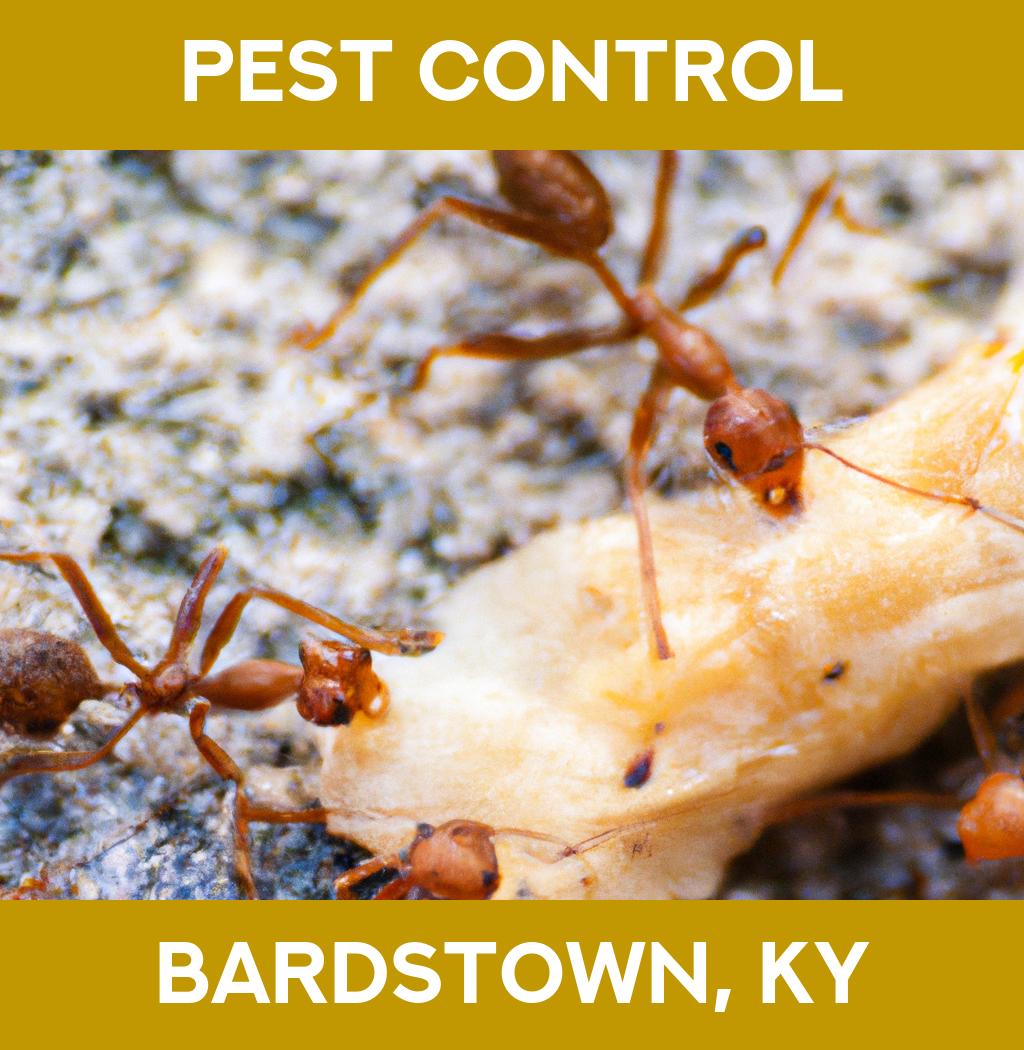 pest control in Bardstown Kentucky