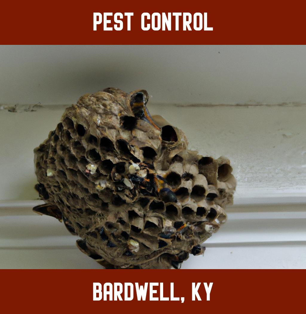 pest control in Bardwell Kentucky