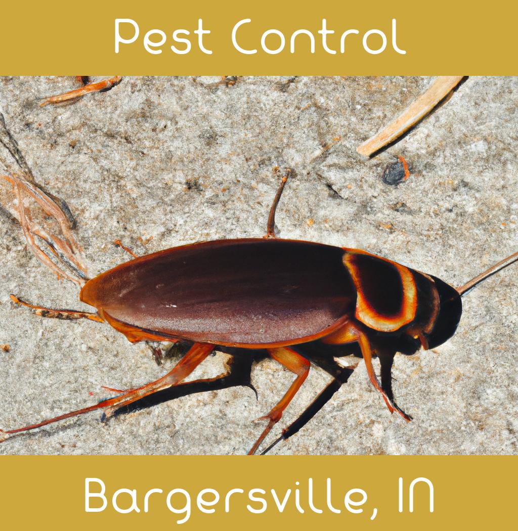 pest control in Bargersville Indiana