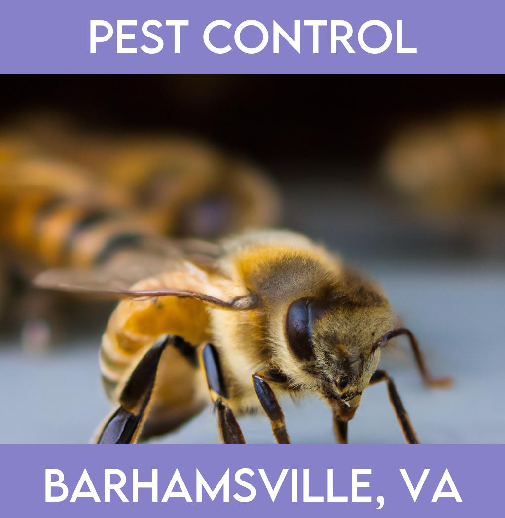 pest control in Barhamsville Virginia