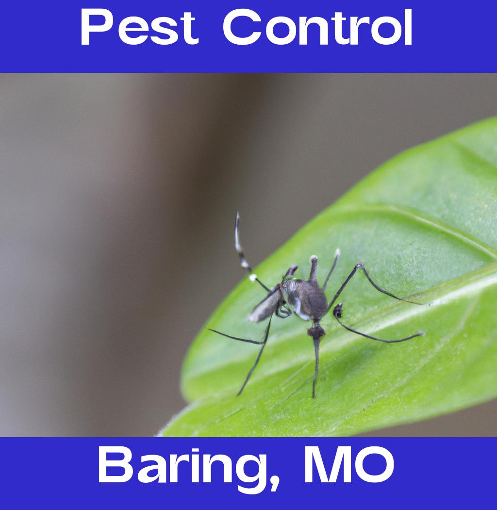 pest control in Baring Missouri