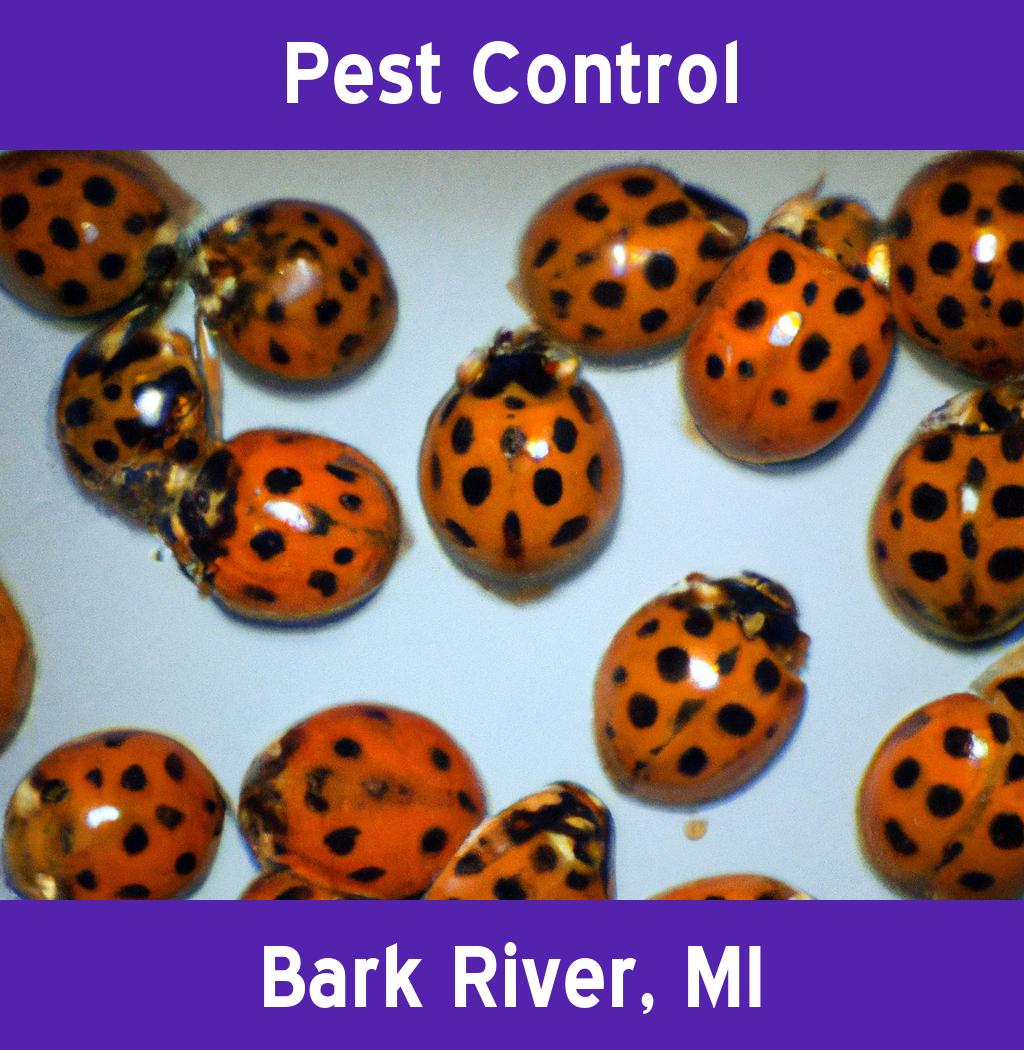 pest control in Bark River Michigan