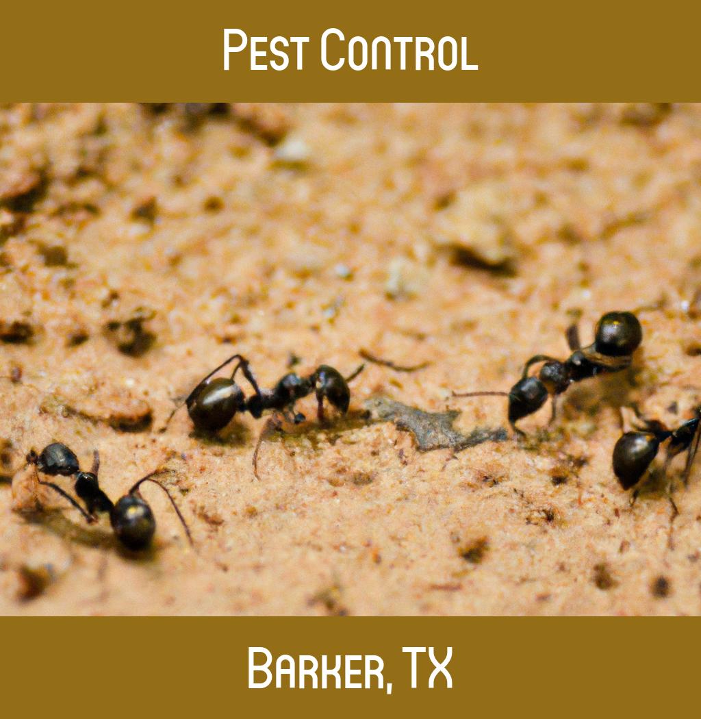 pest control in Barker Texas