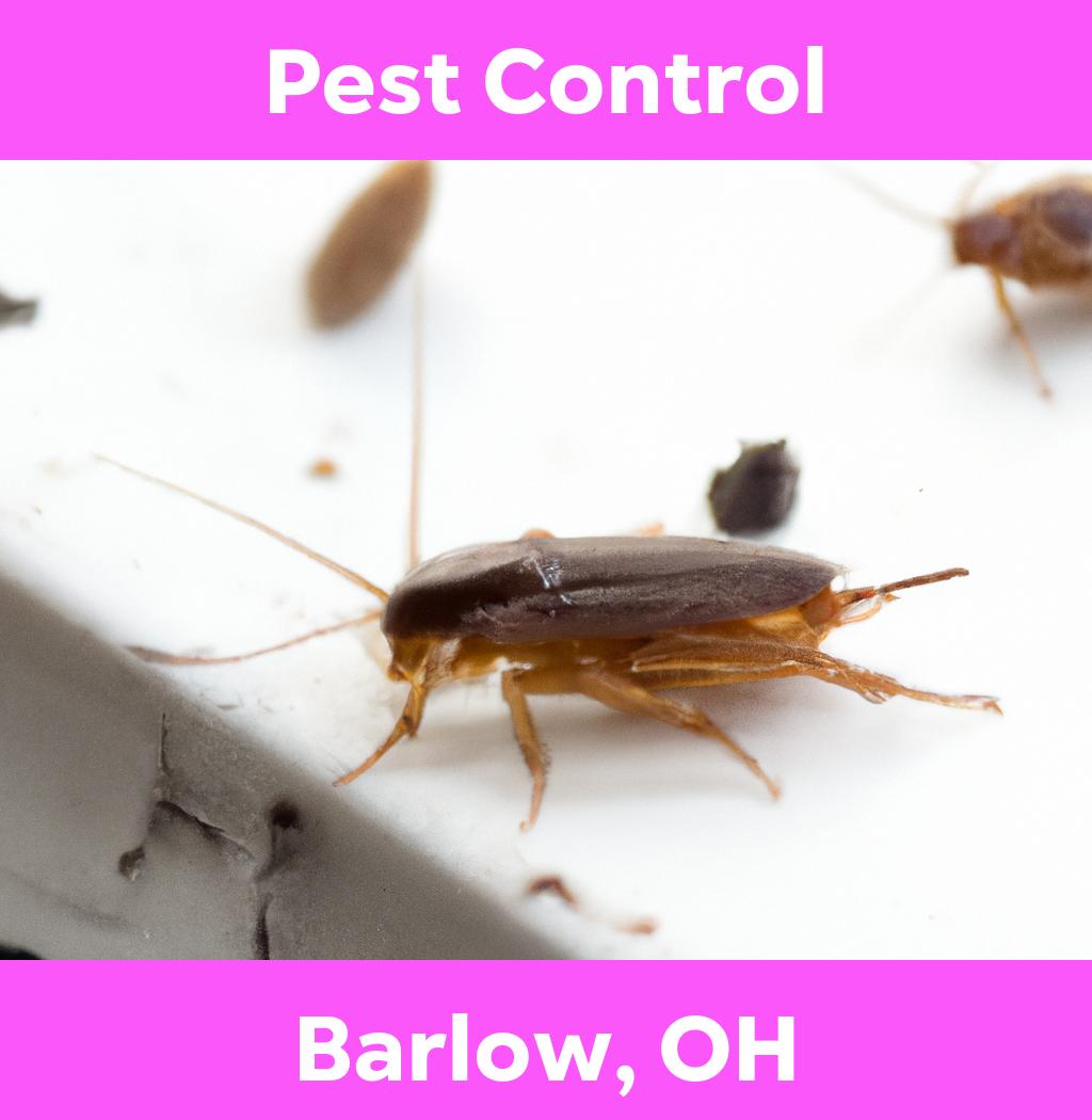 pest control in Barlow Ohio