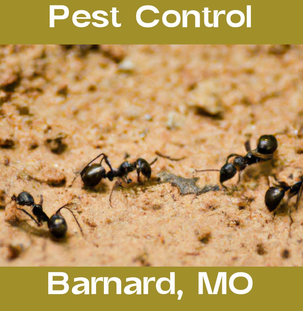 pest control in Barnard Missouri