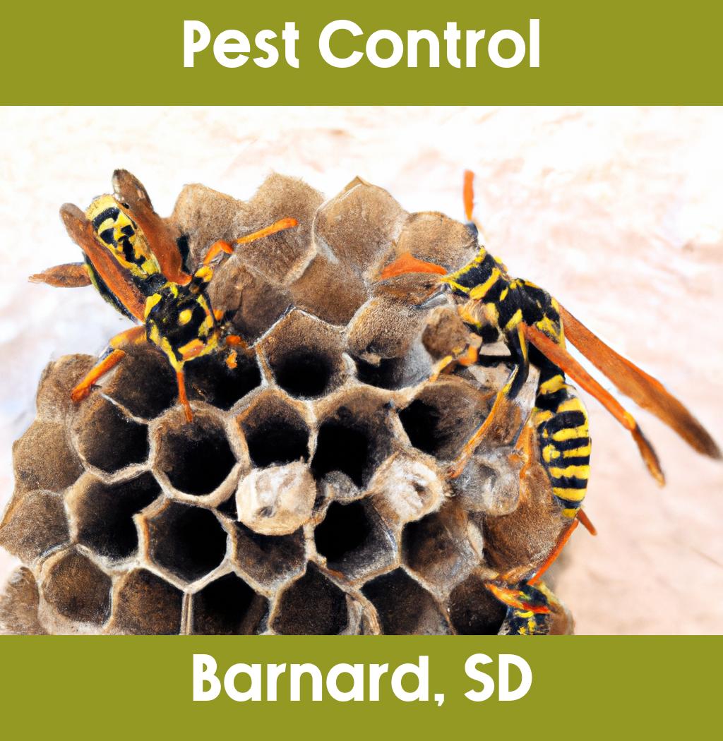 pest control in Barnard South Dakota