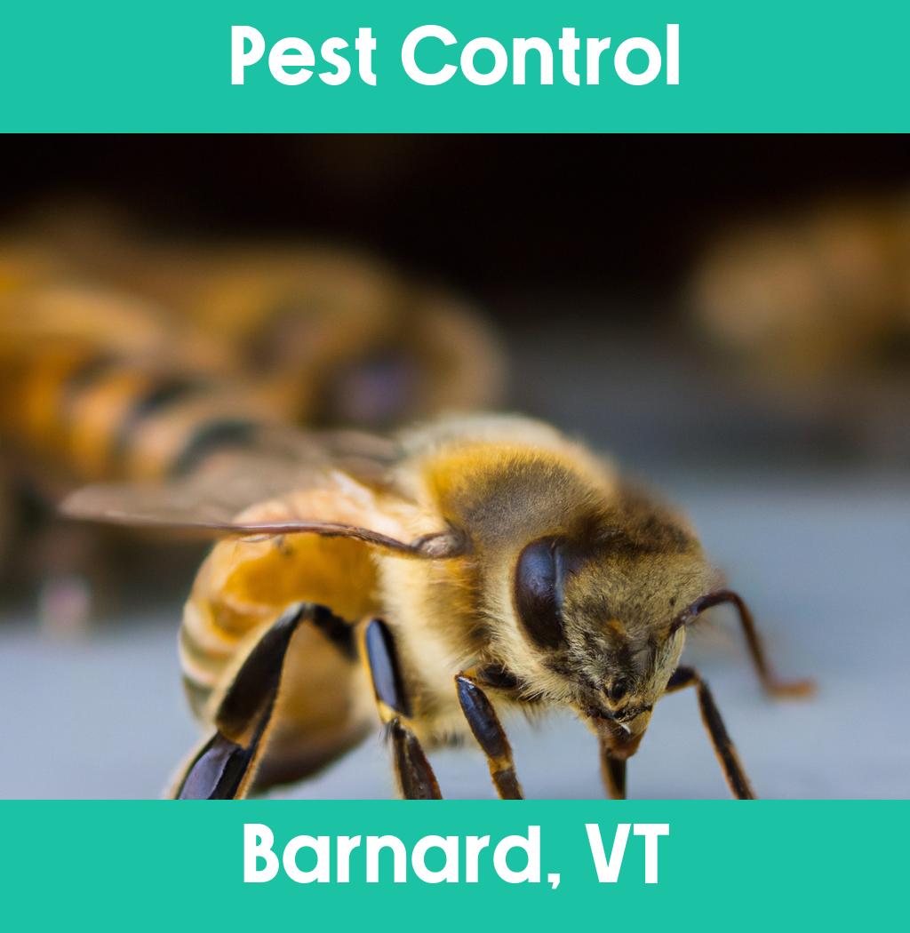 pest control in Barnard Vermont