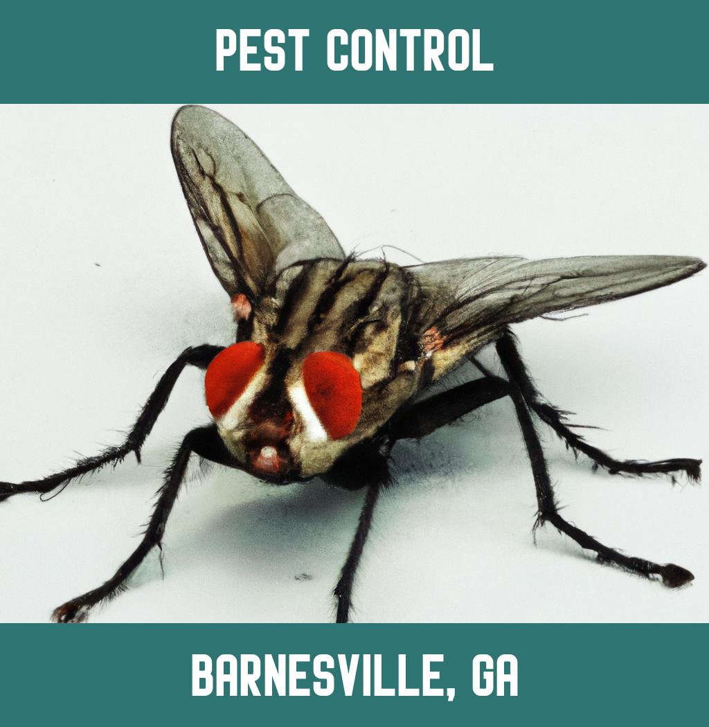 pest control in Barnesville Georgia