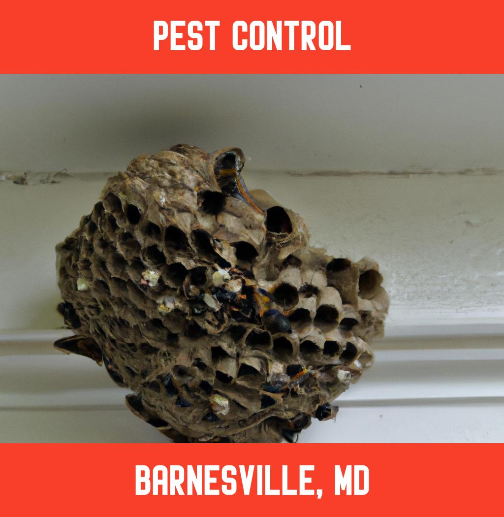 pest control in Barnesville Maryland