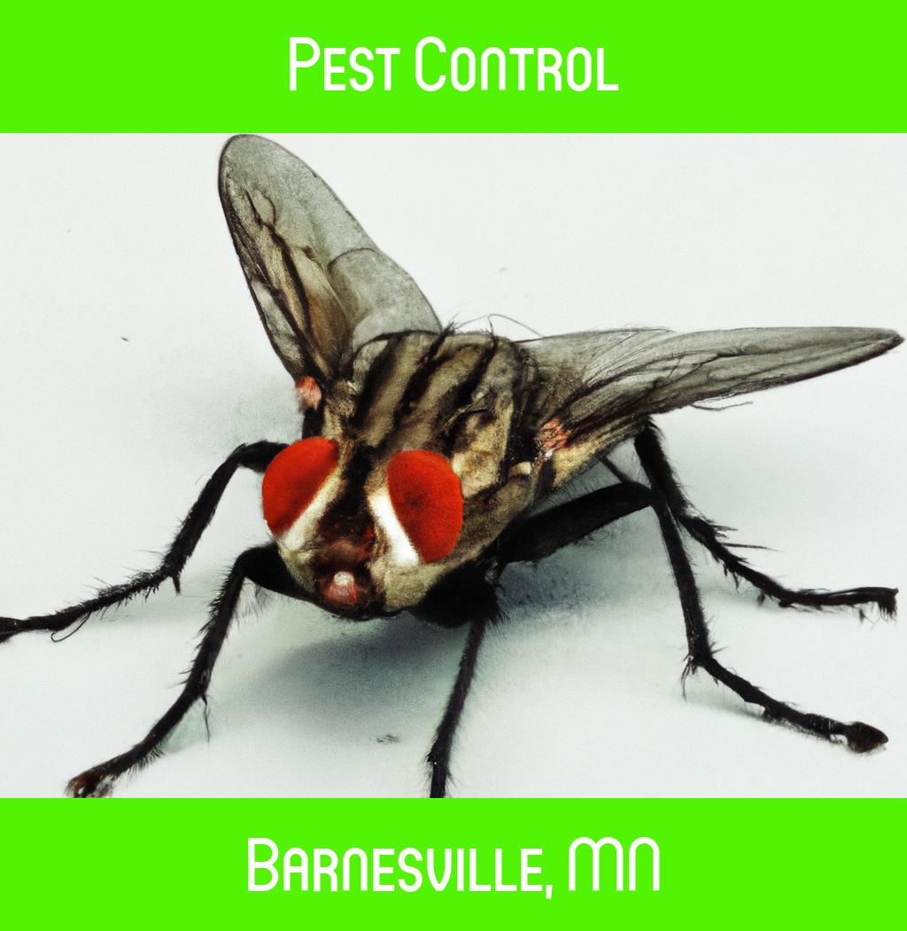 pest control in Barnesville Minnesota