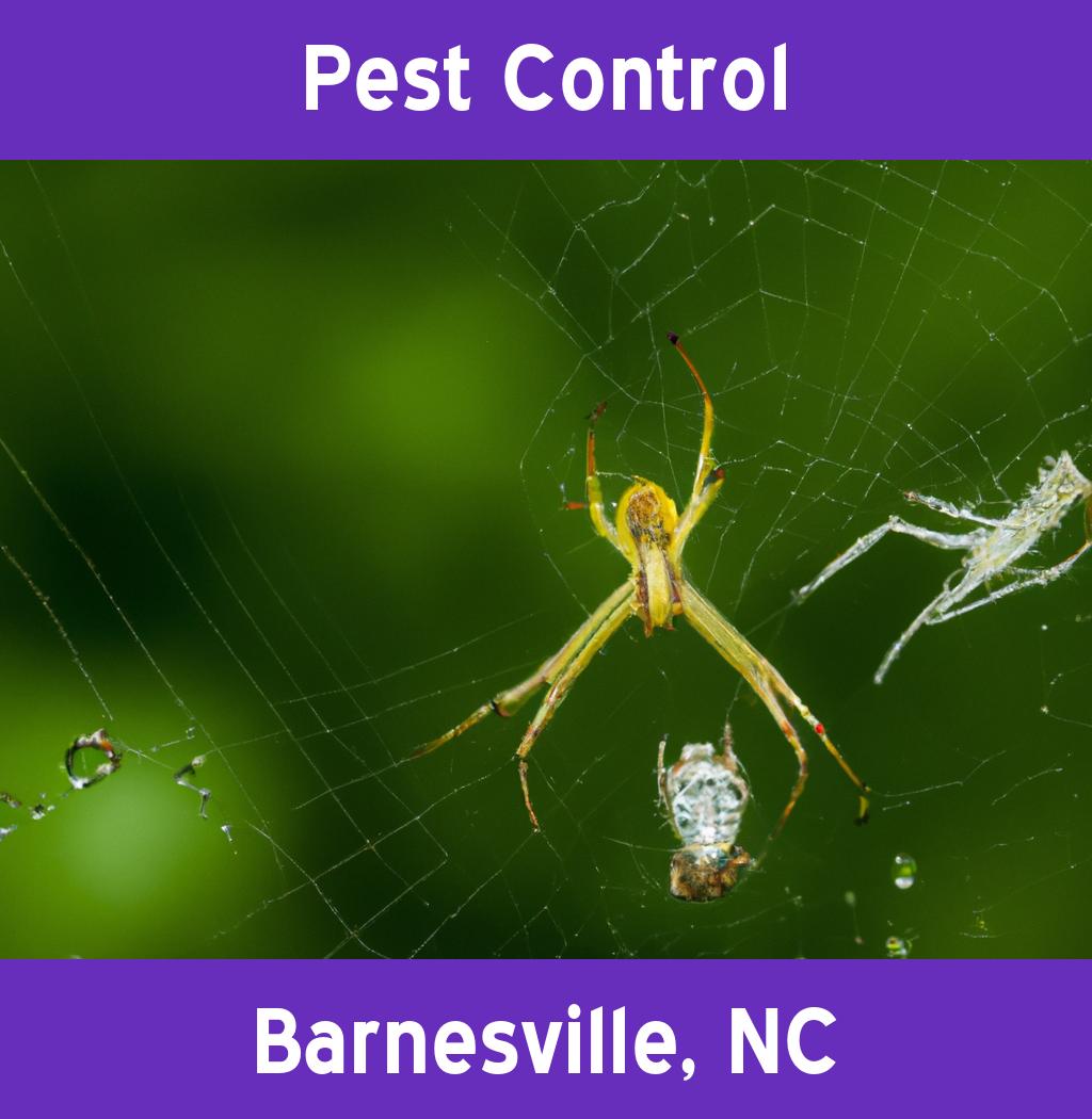 pest control in Barnesville North Carolina