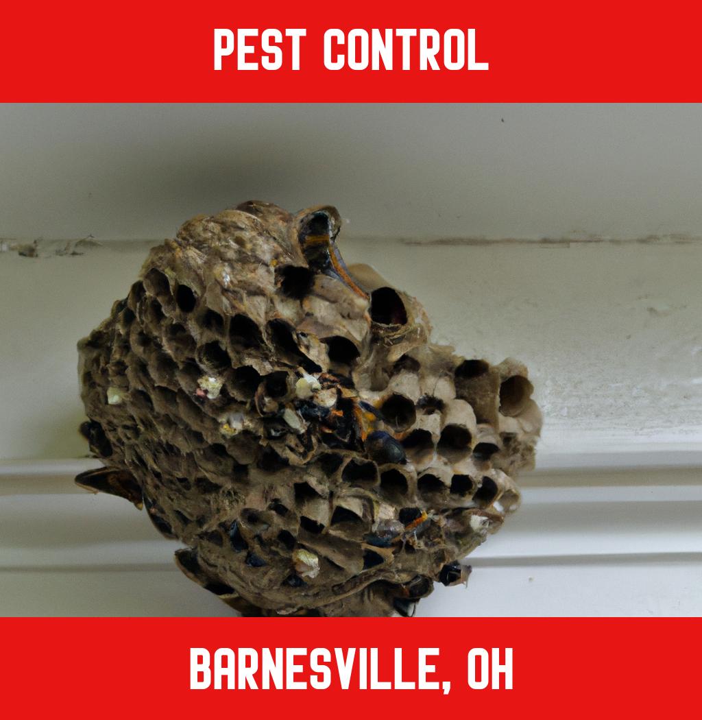 pest control in Barnesville Ohio
