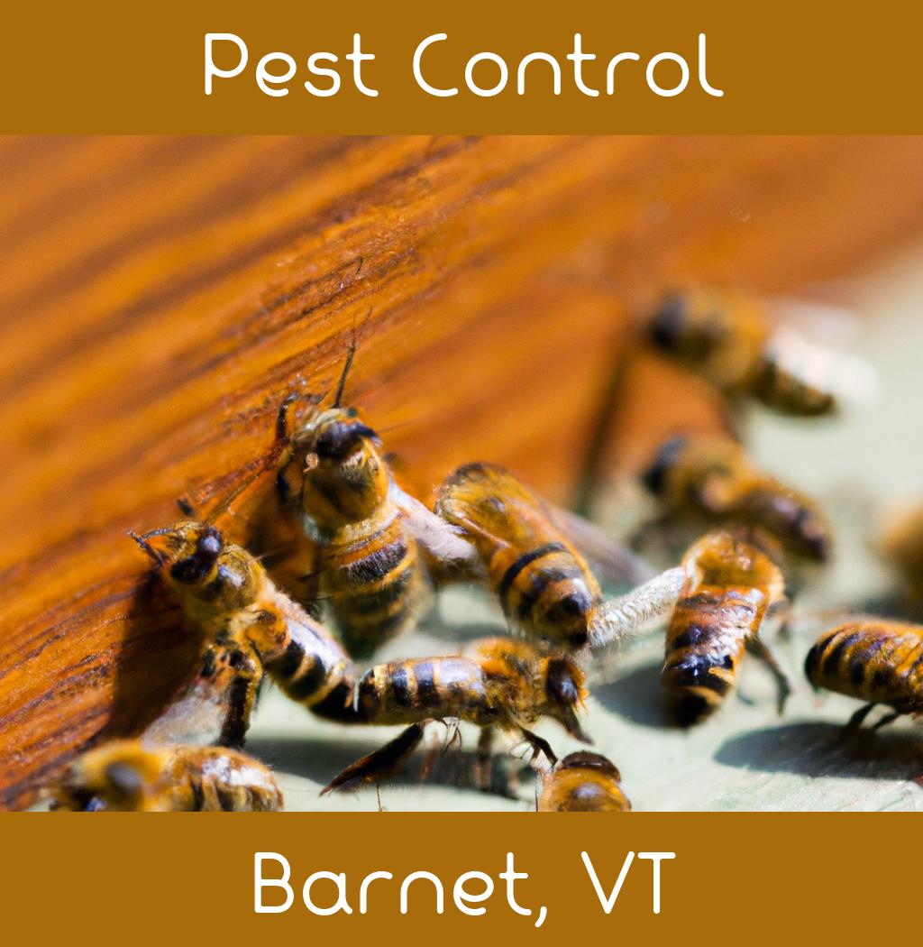 pest control in Barnet Vermont