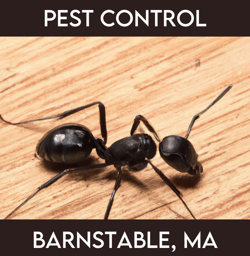 pest control in Barnstable Massachusetts