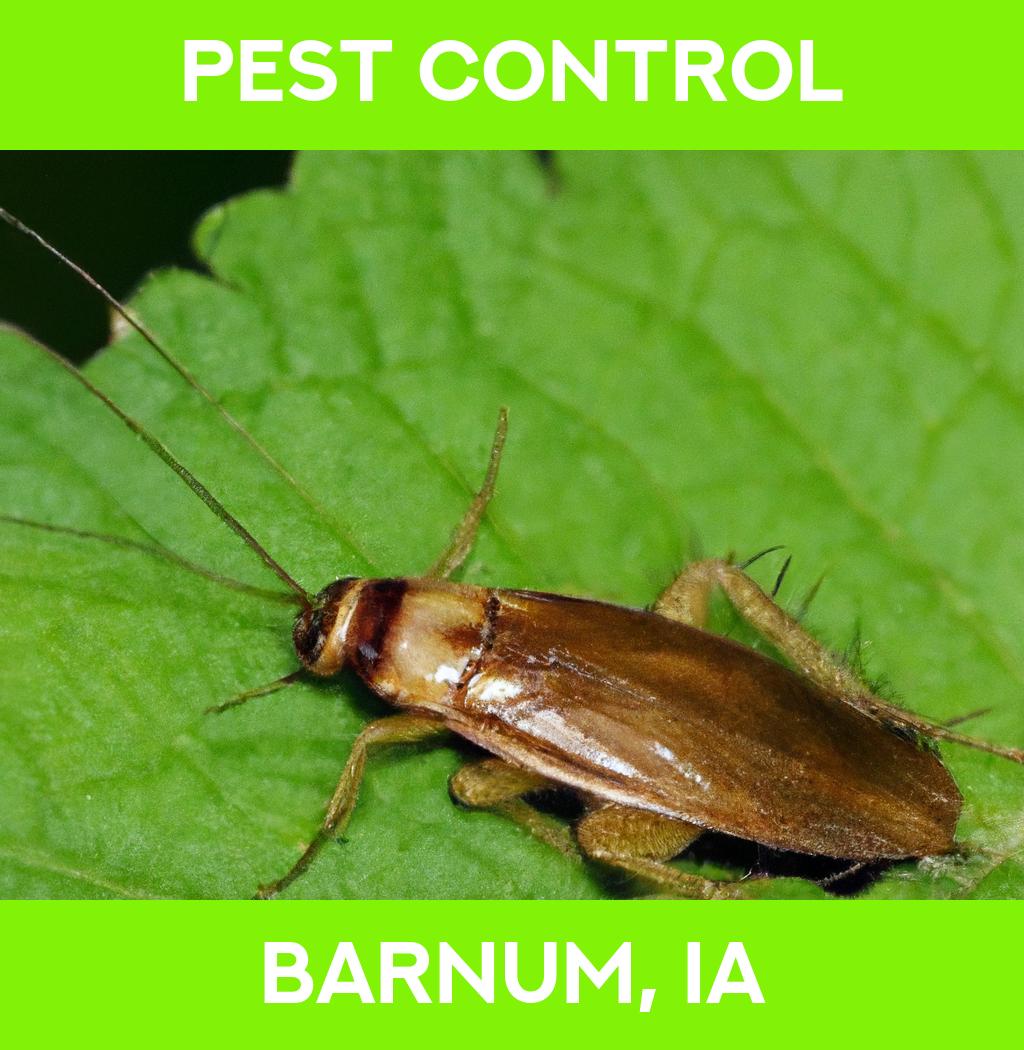 pest control in Barnum Iowa
