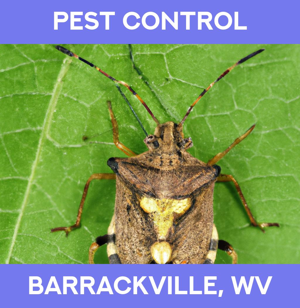 pest control in Barrackville West Virginia