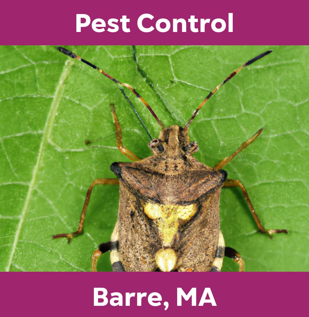 pest control in Barre Massachusetts