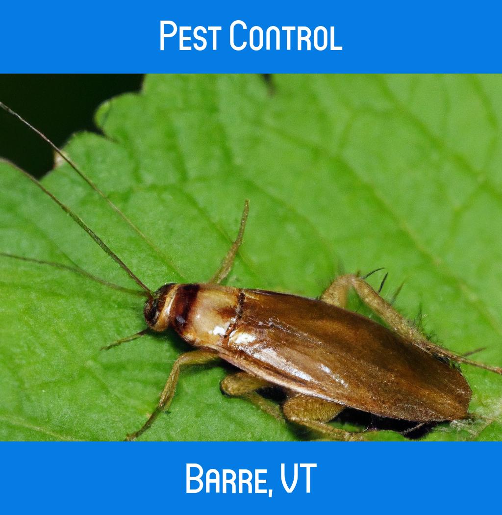 pest control in Barre Vermont