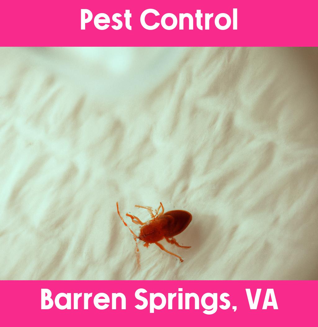 pest control in Barren Springs Virginia
