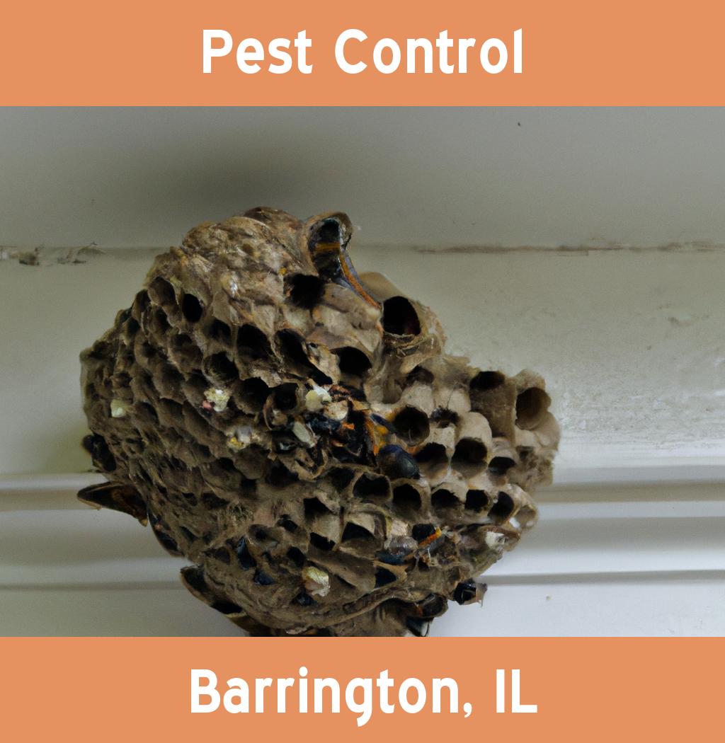 pest control in Barrington Illinois