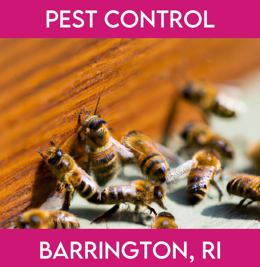 pest control in Barrington Rhode Island