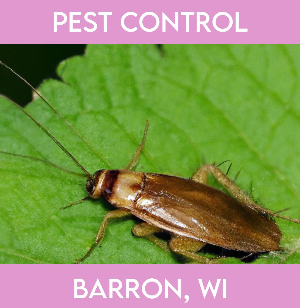 pest control in Barron Wisconsin