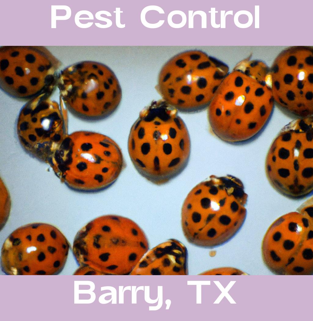 pest control in Barry Texas