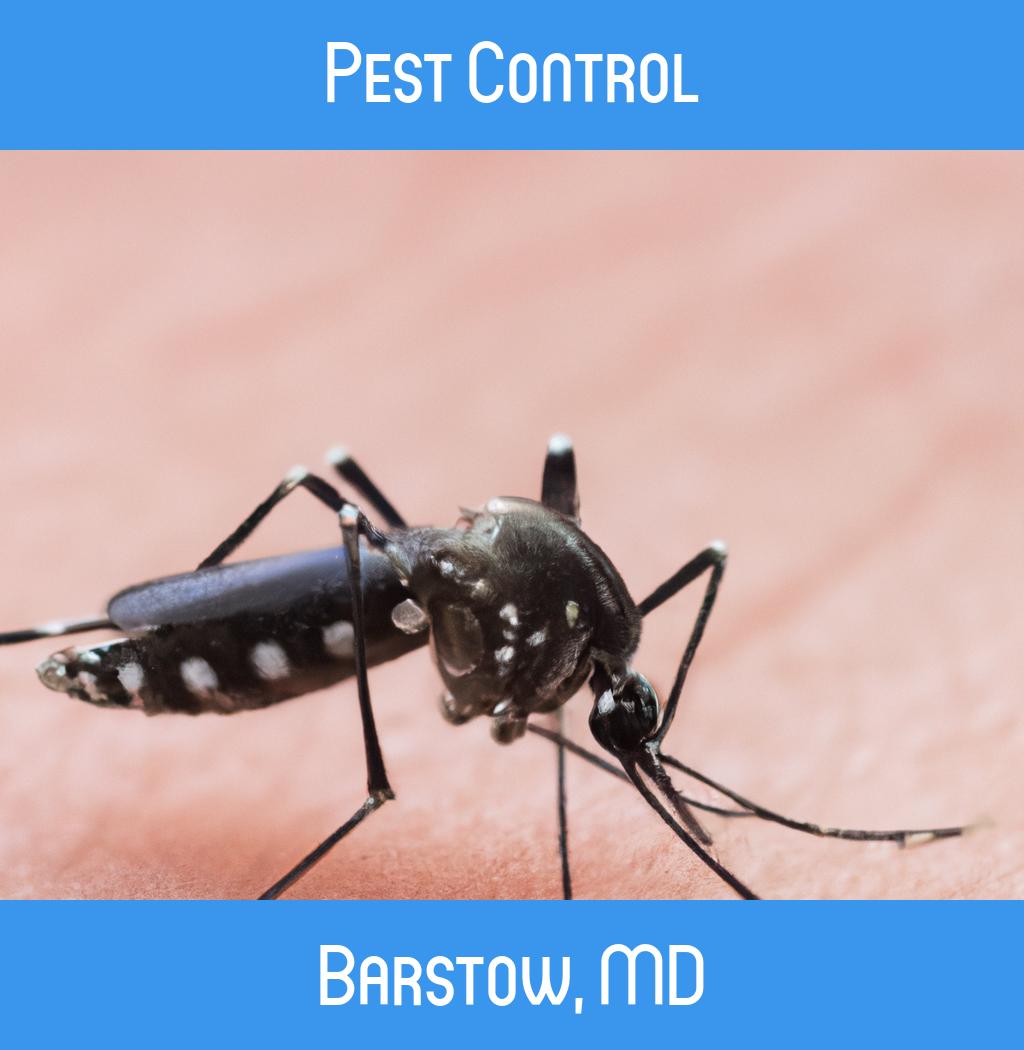 pest control in Barstow Maryland