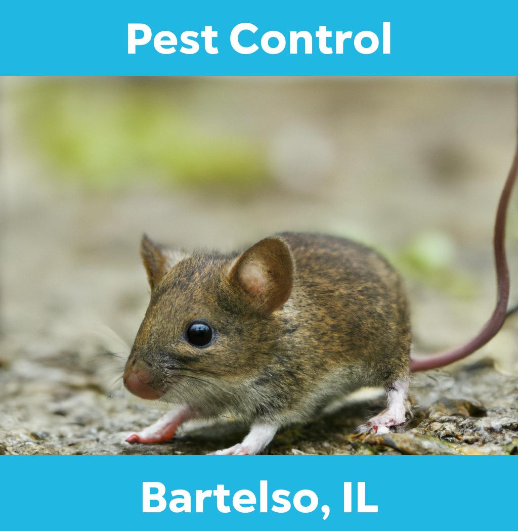 pest control in Bartelso Illinois